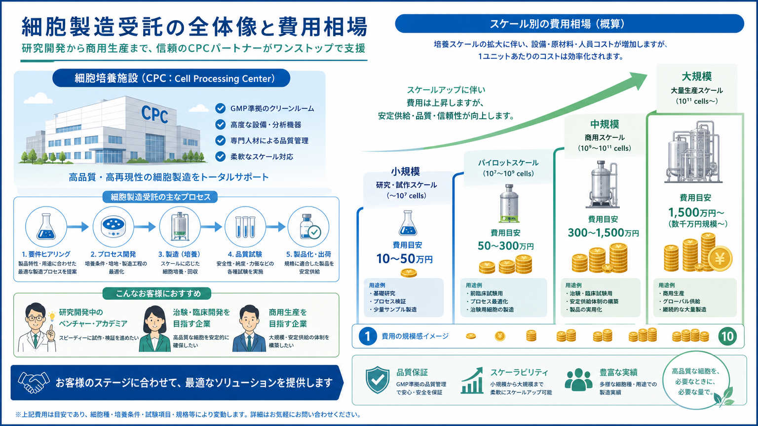 細胞製造受託の費用相場とは
